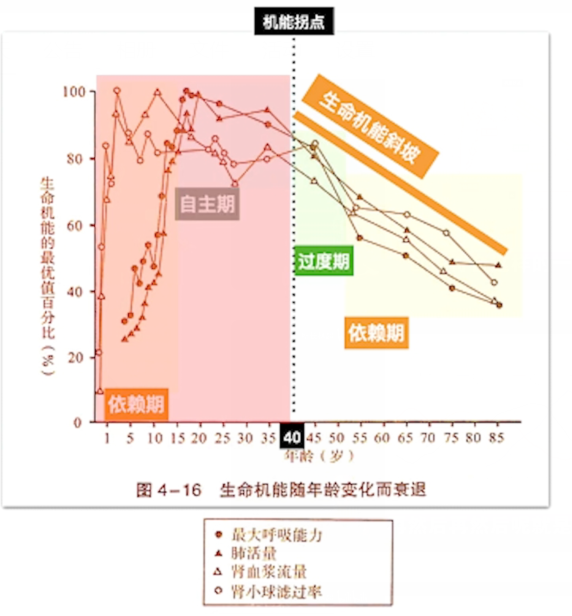 生命機(jī)能發(fā)展圖