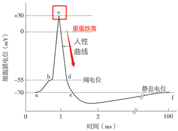 C 點(diǎn)再次重重跌回來(lái)