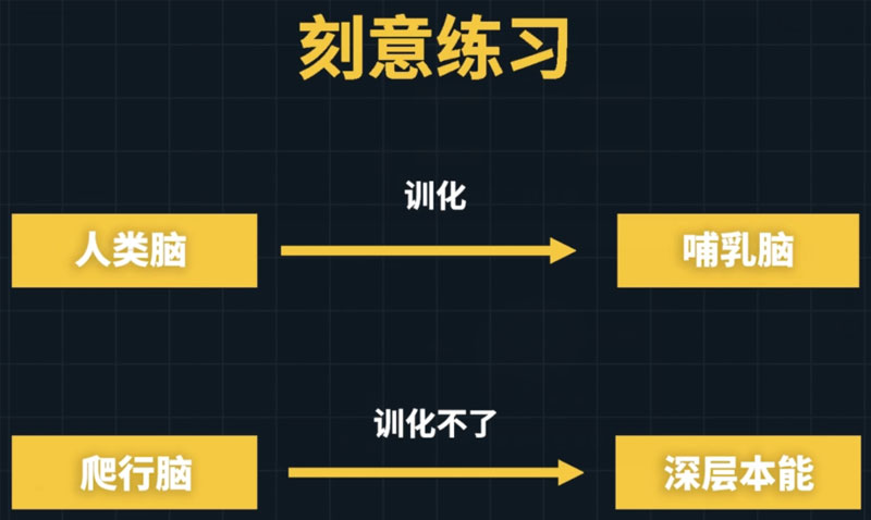 刻意練習(xí)——利用更易控制的人類腦馴化